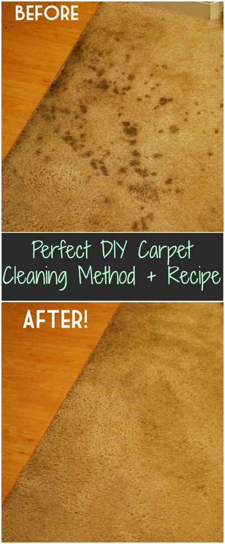 Homemade Carpet Cleaning Recipe