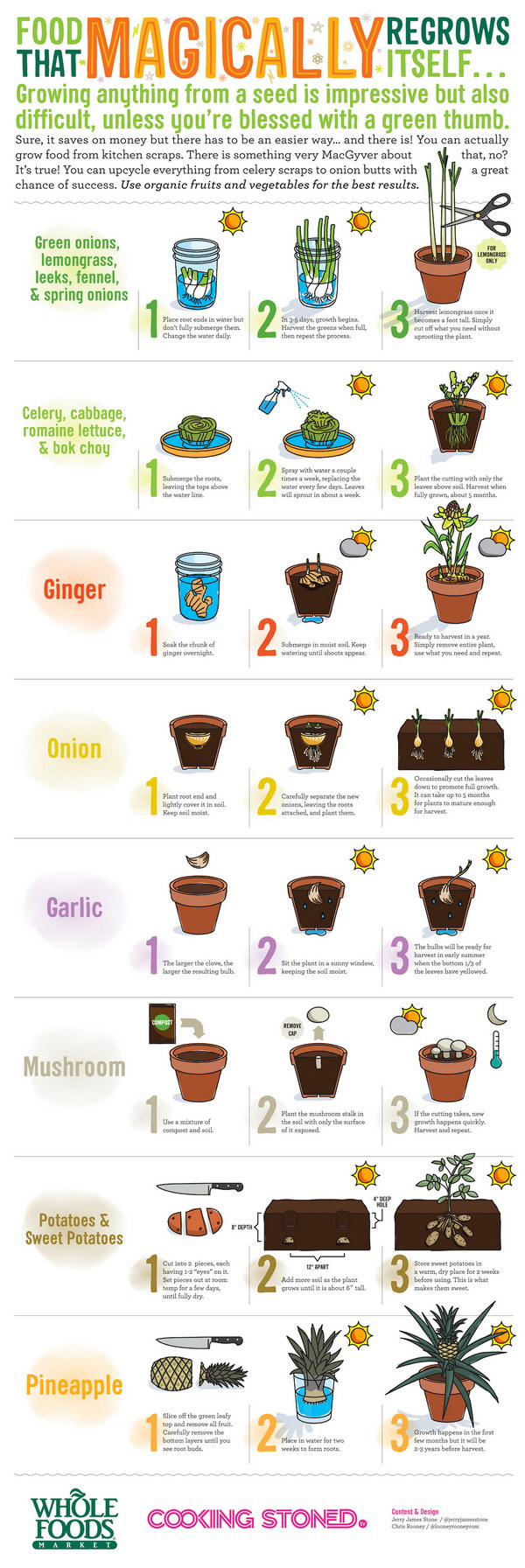 Upcycle Your Vegetable Scraps And Regrow Them Easily. 