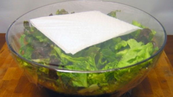 Use a paper towel to keep your salad lettuce fresh all week long.