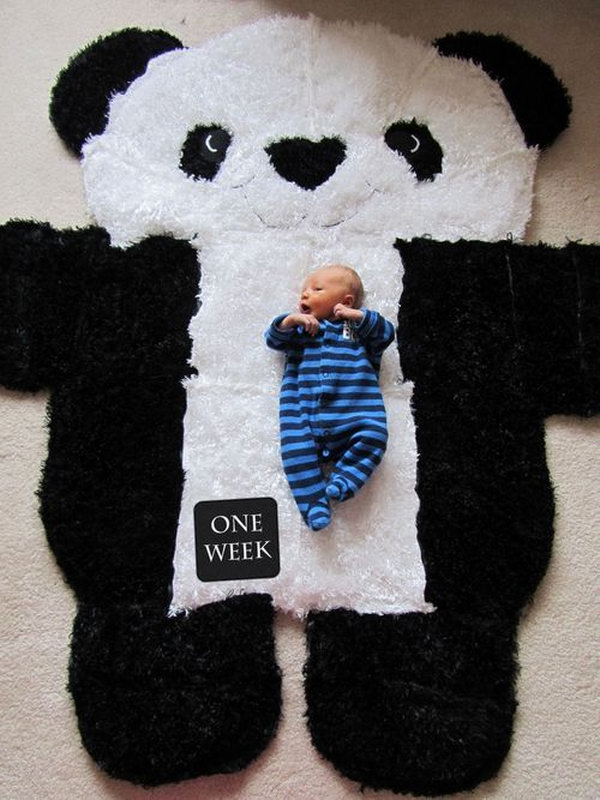 DIY Over-sized Panda Rug. Love this idea to show the growth and transformation of baby during the first year. Via 
