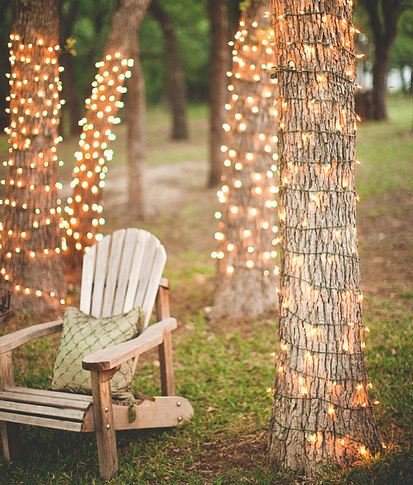 Tree Trunks Decoration with String Lights to Light Up Your Yard. 