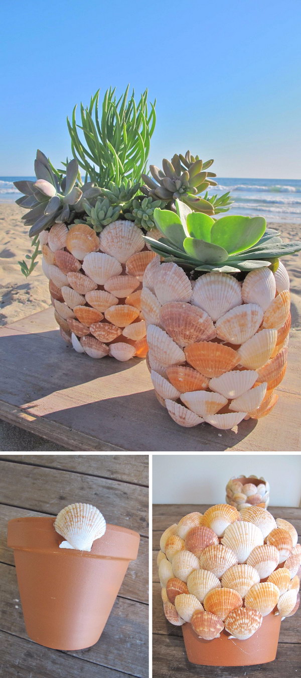 DIY Seashell Succulent Planter. 