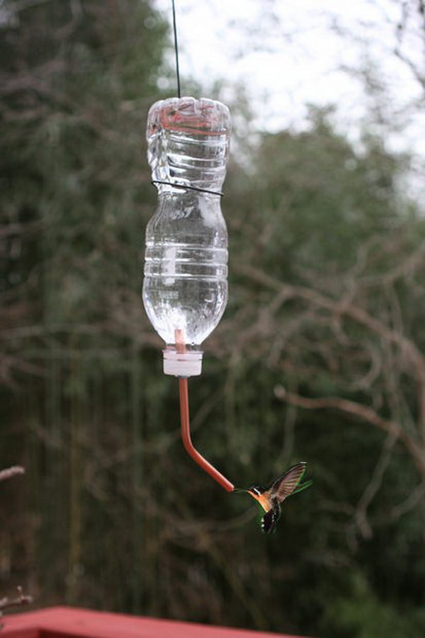 Platic Bottle Recycled Hummingbirds Feeder. 