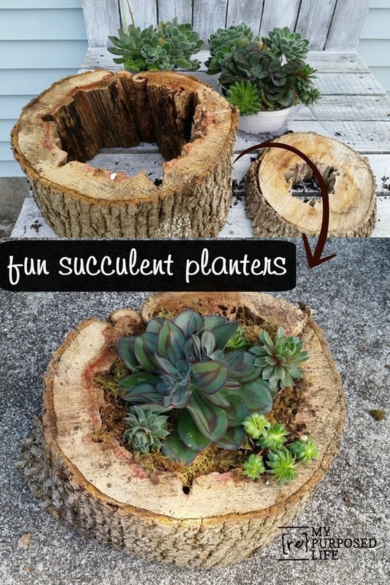 Easy DIY Succulent Planter Made Out Of Old Rotted Tree Trunk. 
