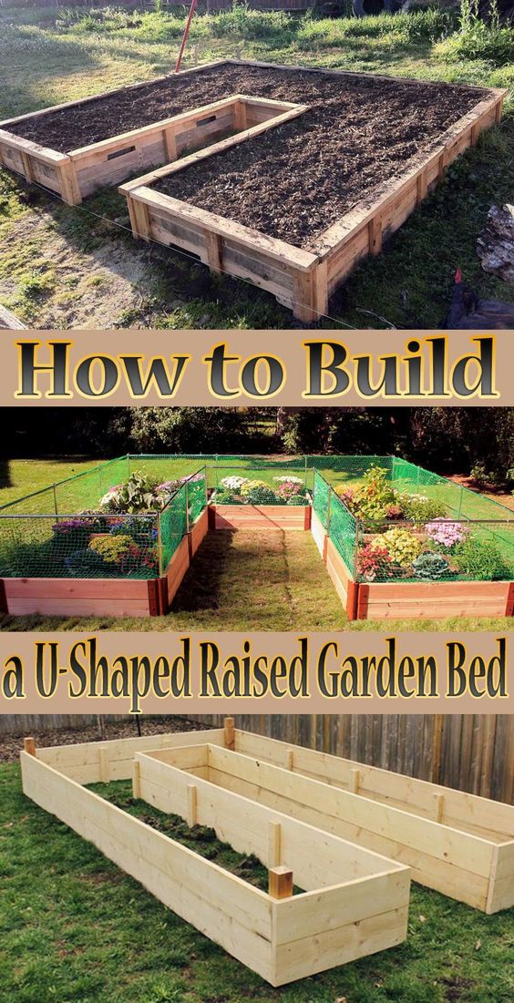 Building A U-Shaped Raised Garden Bed. 