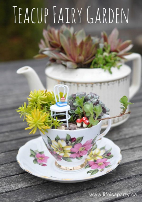 DIY Teacup Fairy Garden. 