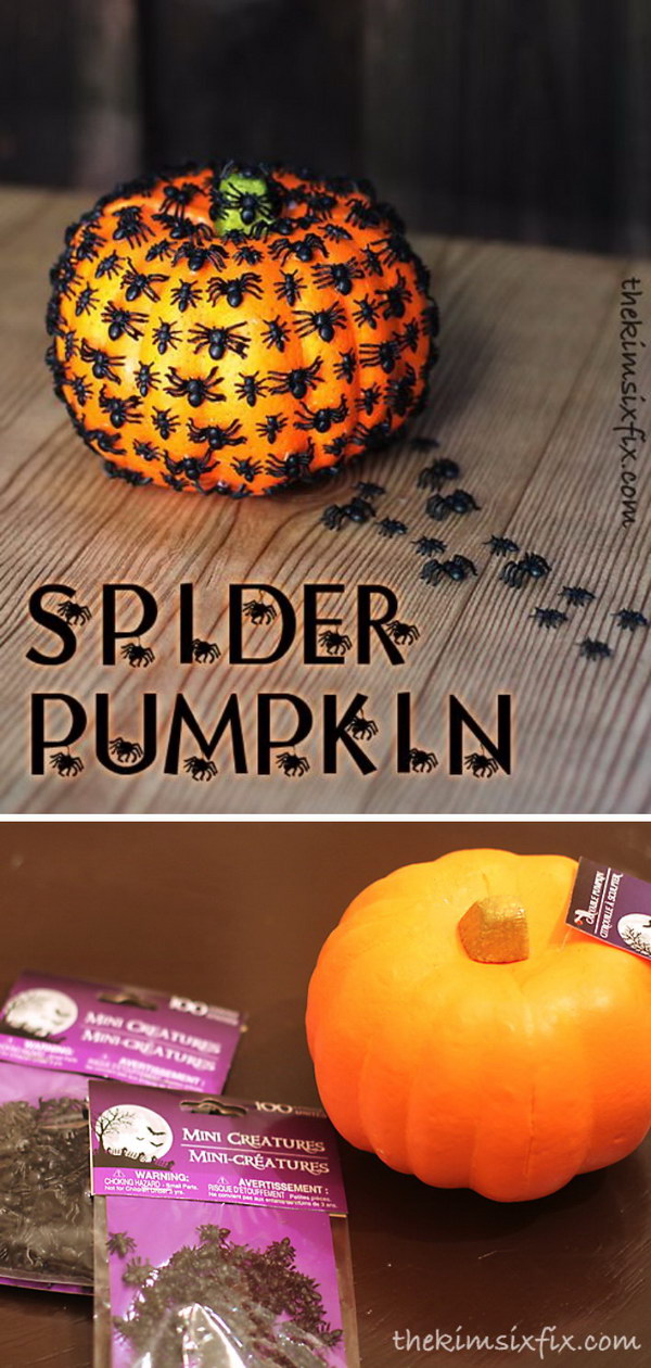 DIY Creepy Crawly Spider Pumpkin. 